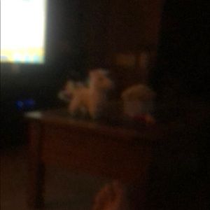 Meet your Posher, Tina